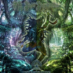 Babaroga - Dont Be Afraid ( VA - Shiv Shaktiva / Banyan Records )
