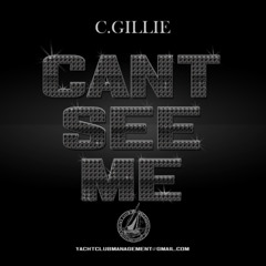 Cant See Me