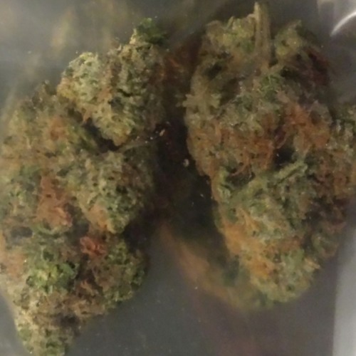 Rome2solid untitledtrack.code1 on the beat