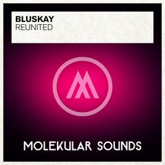 BluSkay - ReUnited (Original Mix)