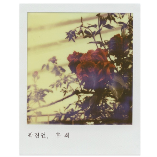 후회 곽진언