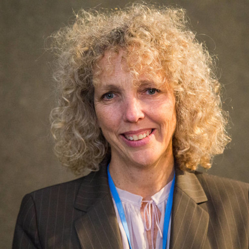 Q&A: Road map for post-2015 climate response