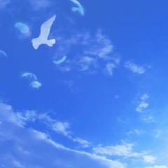 HANN - 날아 (Drama '미생' OST Cover)