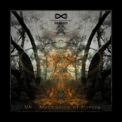 Psychoacoustic Vision - The Forest Is Grey