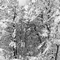 Deep Chilled House Mix Vol. 20 by Burex