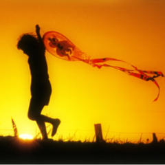 002 MTP - GÖLGELER VE UÇURTMALAR