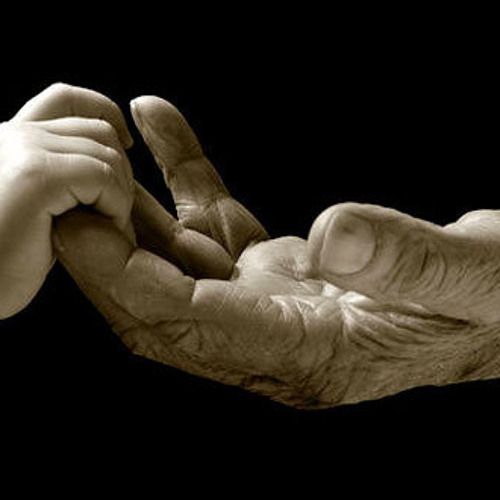 كَشوقِ الليالِي