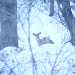 Time(+/-less) Journey