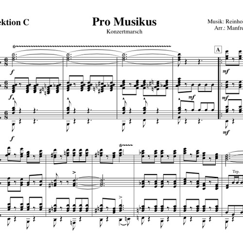 Pro Musikus Konzertmarsch Stadtkapelle Jennersdorf by Reinhold Buchas
