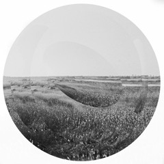 Premiere: All My Fears - Leitmotiv (Original Mix) [Blackened]