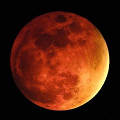 dela-Blood Moon (Moontribe Oct 2014)