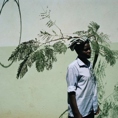palms.