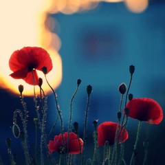 مەرێژن بۆم فرمێسکی خەم، کە سوور بووە بە خوێن جەستەم شەهیدی دەستی زۆردارم، بەڵام ئۆخەی کە پێشمەرگەم