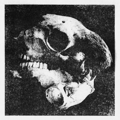 JE.NE.CROIS.QU.AU.PETIT