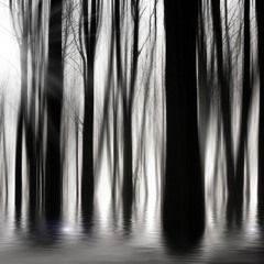 Solomon & Sadao - Opening Set for DoubtingThomas - Sui Generis Halloween 2014