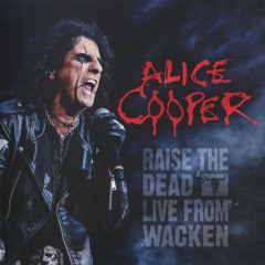 Alice Cooper - Poison (Live)