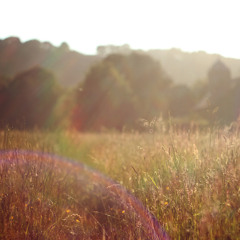 Sunrise Over Aeron Valley