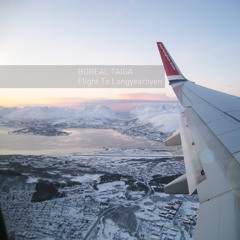 Flight To Longyearbyen