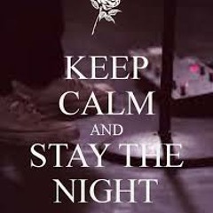 MegaBeat & Re-Twin (Stay The Night Rmx)