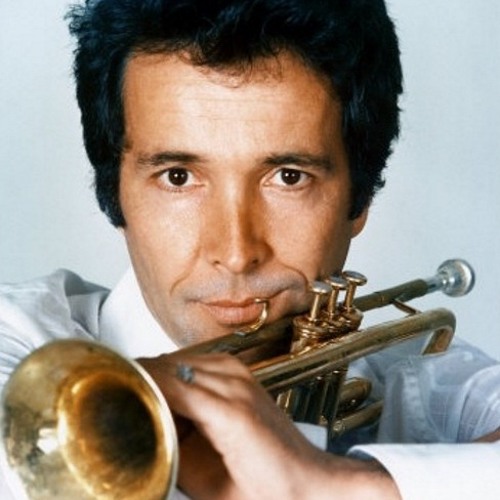 Stream Ramón Valls Listen to Herb Alpert Rise (Vins edit