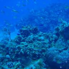 The sea (demo 1 - abyss)