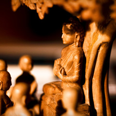 Mindfulness Of The Body