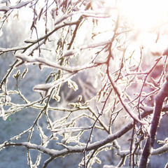 Mark Slee - Snowcrest: Winter Shimmer [December 2014]