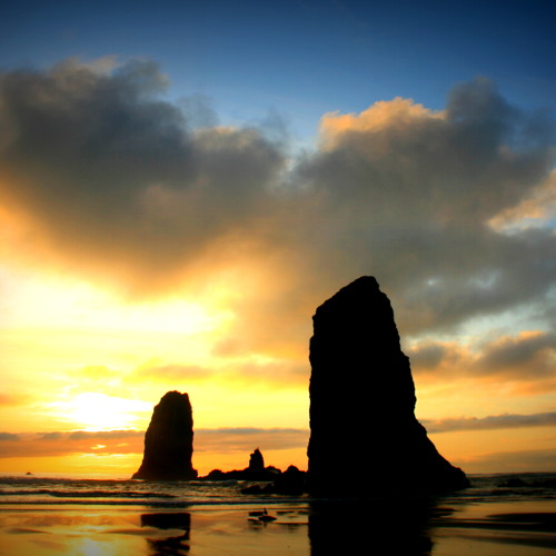 Dawn And The Day (Ashlyn's Song)