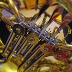 Danzi: Woodwind Quintet in Bb Major No 1 (1st mvt)