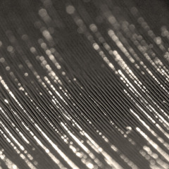 Depool (disquiet0153-groovelock)