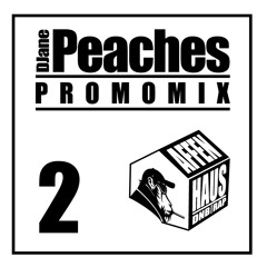 DJane Peaches - Affenhaus Promomix #2