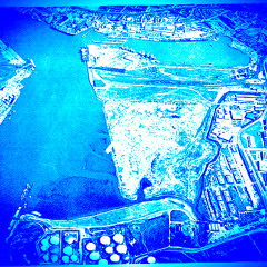 Burn This Place Down - Draaier