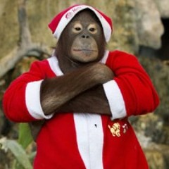 SuperSoul - December 2014