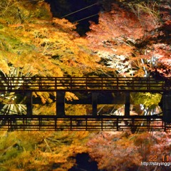 Aichi, Iwayado Park //Japan 8:30pm