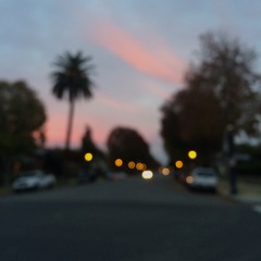 F L I G H T