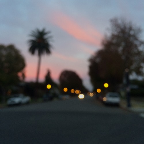 F L I G H T