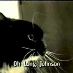 Oh Don Piano (Talking Cat with Subtitles) 