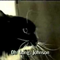 Oh Don Piaaaaano #talkingcat #catmeme, oh long johnson