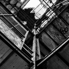 And The Hippos Were Boiled In Their Tanks