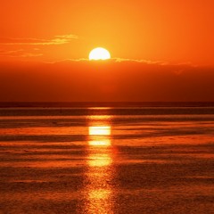 Tayta bird - Sunset Song