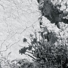 [IMPROVISED TAKES -free download]