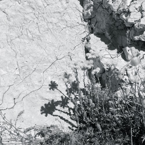 [IMPROVISED TAKES -free download]