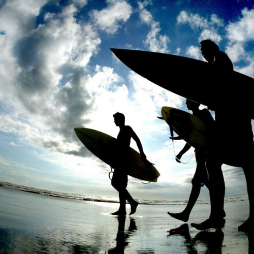 Midnight Oil - The Dead Heart Unlpugged