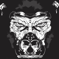 KB - Monkey See Monkey Do