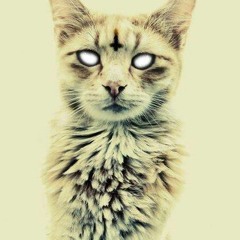 Yuy project-la danza de los esqueletos(221bpm)