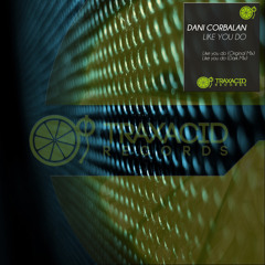 Like You Do (Dark Mix) DANI CORBALAN (TRAX376) Traxacid