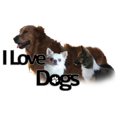 Ilove-dogs Bij Radio Bo