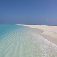 Paradise - Paploviante Cover Sade