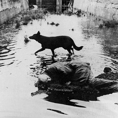 城市與狗 Demo (Original)