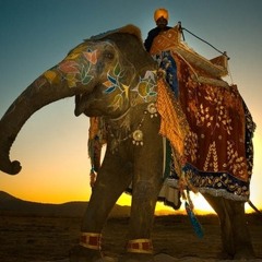 Elephants (Instrumental)